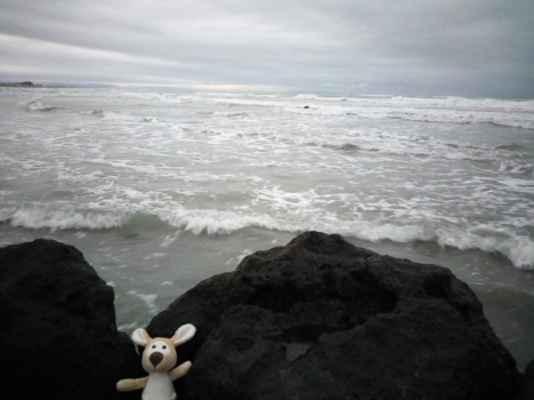 Photo de la mascotte de Péronne à la mer?