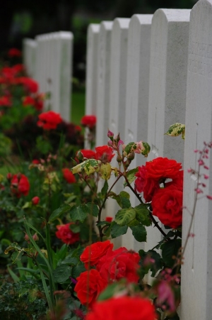 Une autre photo du Commonwealth cemetery  de Chauny que nous voulions partager avec nos amis d&#039; Epsom.